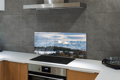 Kitchen Splashback Winterberg