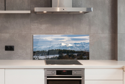 Kitchen Splashback Winterberg