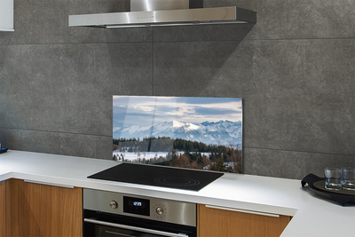 Kitchen Splashback Winterberg