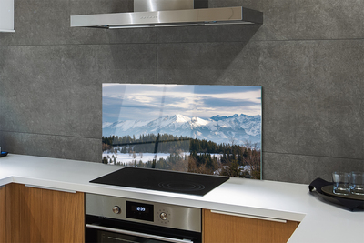 Kitchen Splashback Winterberg