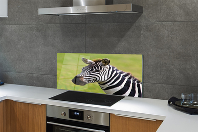 Kitchen Splashback zebra