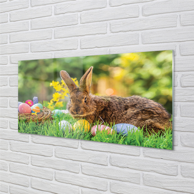 Kitchen Splashback Meadow rabbit eggs