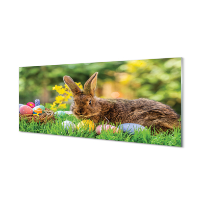 Kitchen Splashback Meadow rabbit eggs