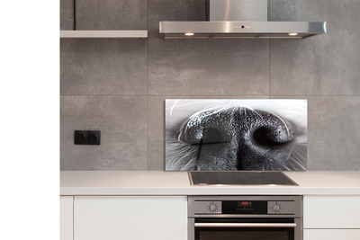 Kitchen Splashback Hundenase