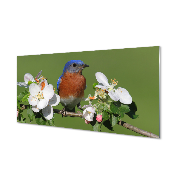 Kitchen Splashback Flowers colorful parrot