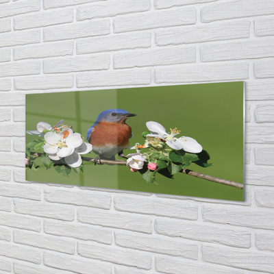 Kitchen Splashback Flowers colorful parrot