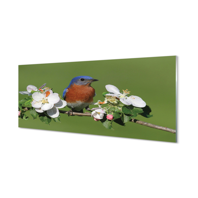 Kitchen Splashback Flowers colorful parrot