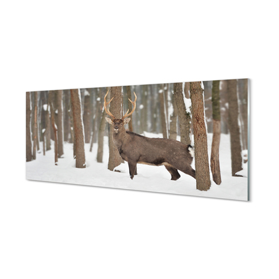 Kitchen Splashback Deer winter forest
