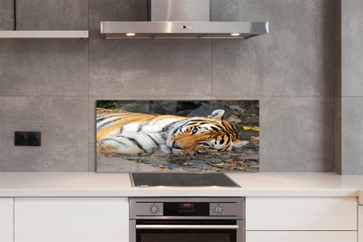 Kitchen Splashback Tiger lying