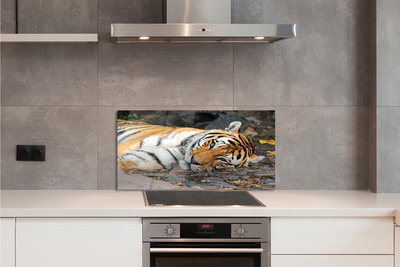 Kitchen Splashback Tiger lying