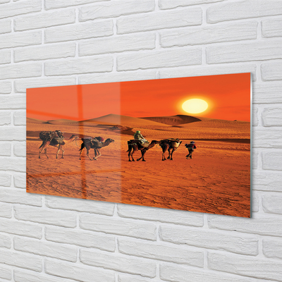Kitchen Splashback Camels sky sun desert people