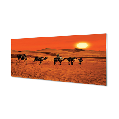 Kitchen Splashback Camels sky sun desert people
