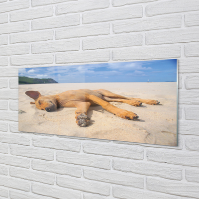 Kitchen Splashback Put dog beach