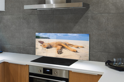 Kitchen Splashback Put dog beach