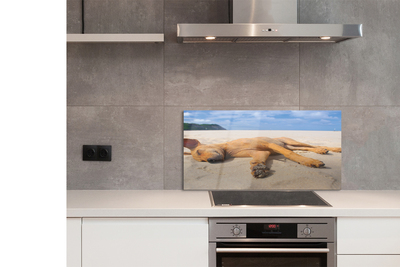 Kitchen Splashback Put dog beach