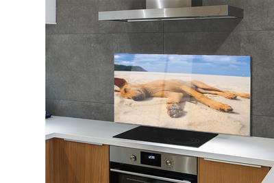 Kitchen Splashback Put dog beach