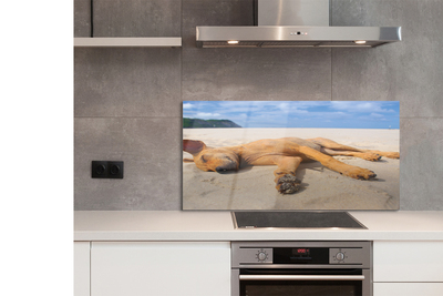 Kitchen Splashback Put dog beach