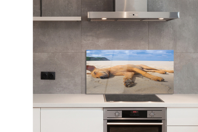 Kitchen Splashback Put dog beach