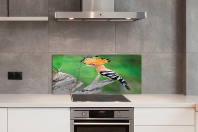 Kitchen Splashback Colorful Parrot Tree