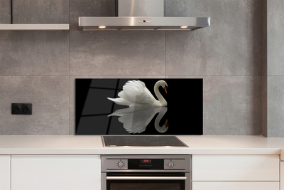 Kitchen Splashback Swan at night