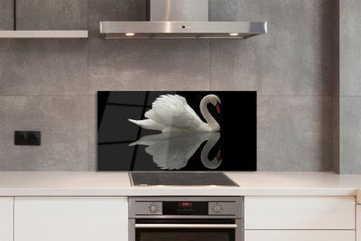 Kitchen Splashback Swan at night