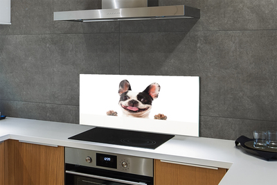 Kitchen Splashback dog