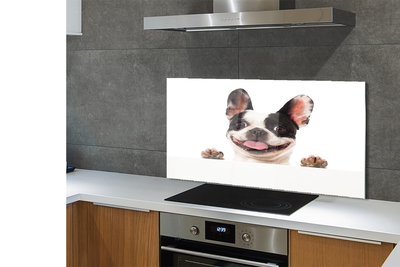 Kitchen Splashback dog