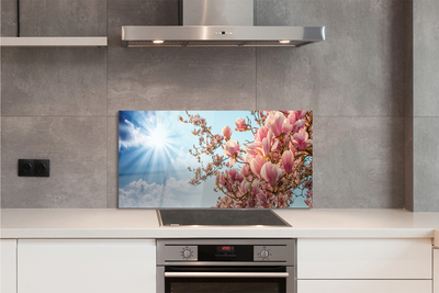 Kitchen Splashback Sky Sun Magnolia