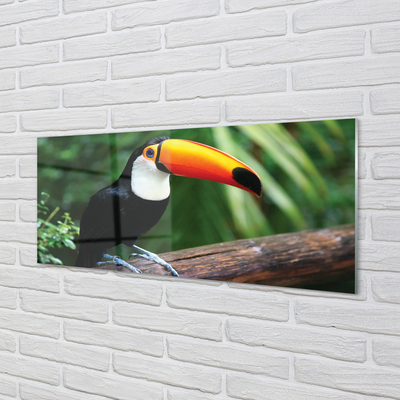 Kitchen Splashback Toucan on a branch