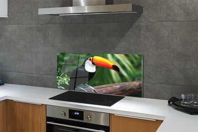 Kitchen Splashback Toucan on a branch