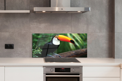 Kitchen Splashback Toucan on a branch