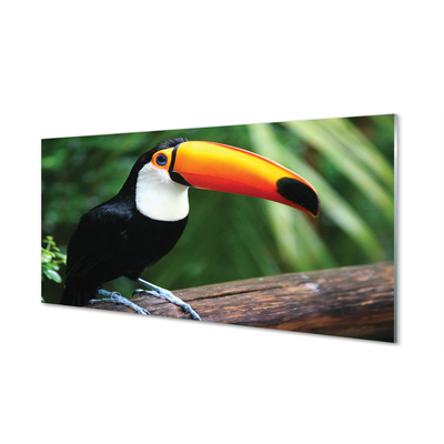 Kitchen Splashback Toucan on a branch