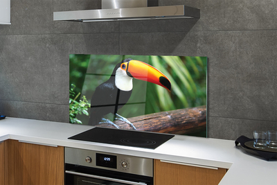 Kitchen Splashback Toucan on a branch