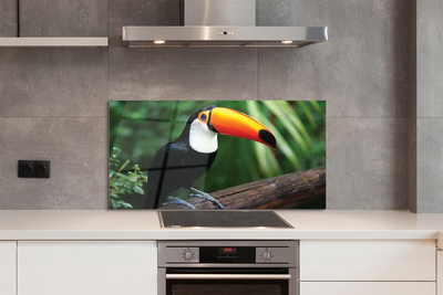 Kitchen Splashback Toucan on a branch