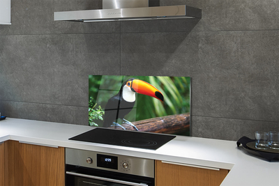 Kitchen Splashback Toucan on a branch