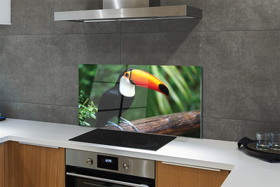 Kitchen Splashback Toucan on a branch