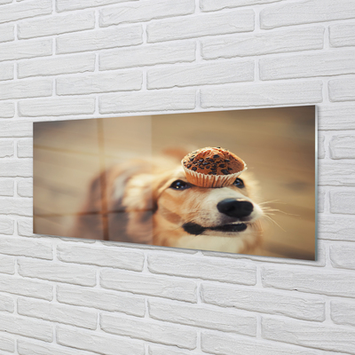 Kitchen Splashback small dog bread