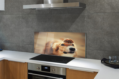 Kitchen Splashback small dog bread