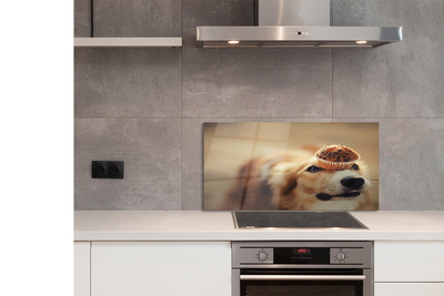 Kitchen Splashback small dog bread