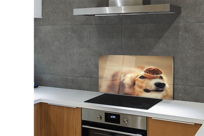 Kitchen Splashback small dog bread