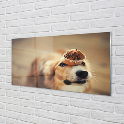 Kitchen Splashback small dog bread