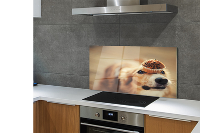 Kitchen Splashback small dog bread