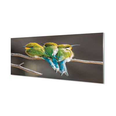 Kitchen Splashback Birds on a branch