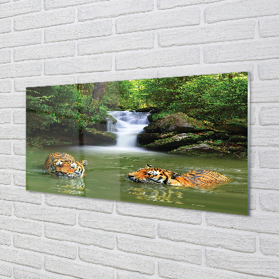 Kitchen Splashback waterfall Tiger