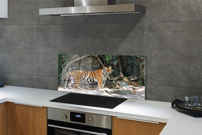 Kitchen Splashback Tiger jungle