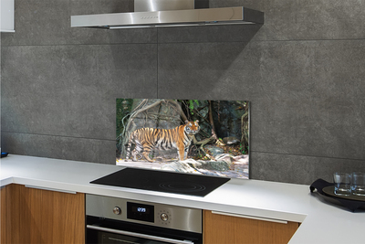 Kitchen Splashback Tiger jungle