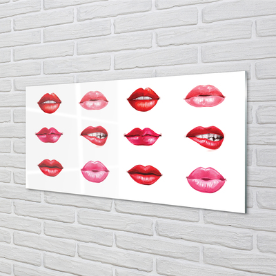 Kitchen Splashback Red and pink lips