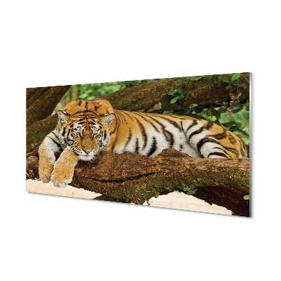 Kitchen Splashback Tiger tree