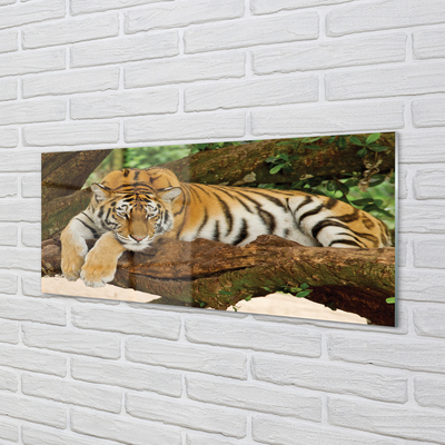 Kitchen Splashback Tiger tree