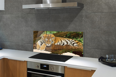 Kitchen Splashback Tiger tree